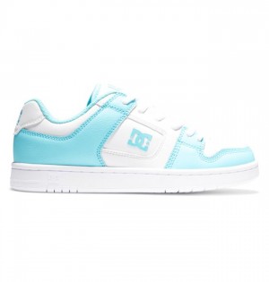 DC Shoes Manteca 4 Sportcipő Női Fehér Kék | 93YOCMWQF